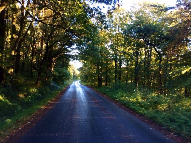  Tenemos rutas fantásticas para disfrutar 